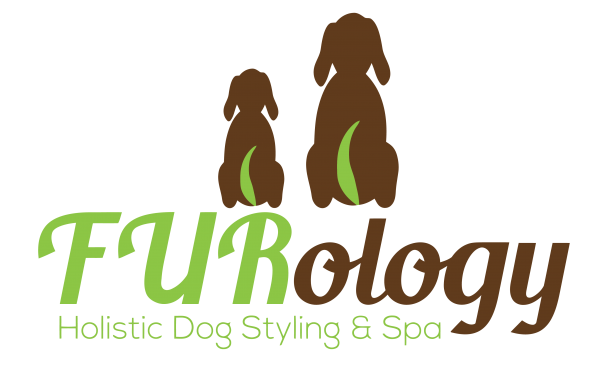 Furology logo image